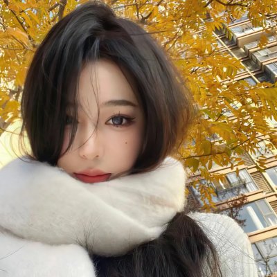 龟甲秘事之拨云见日